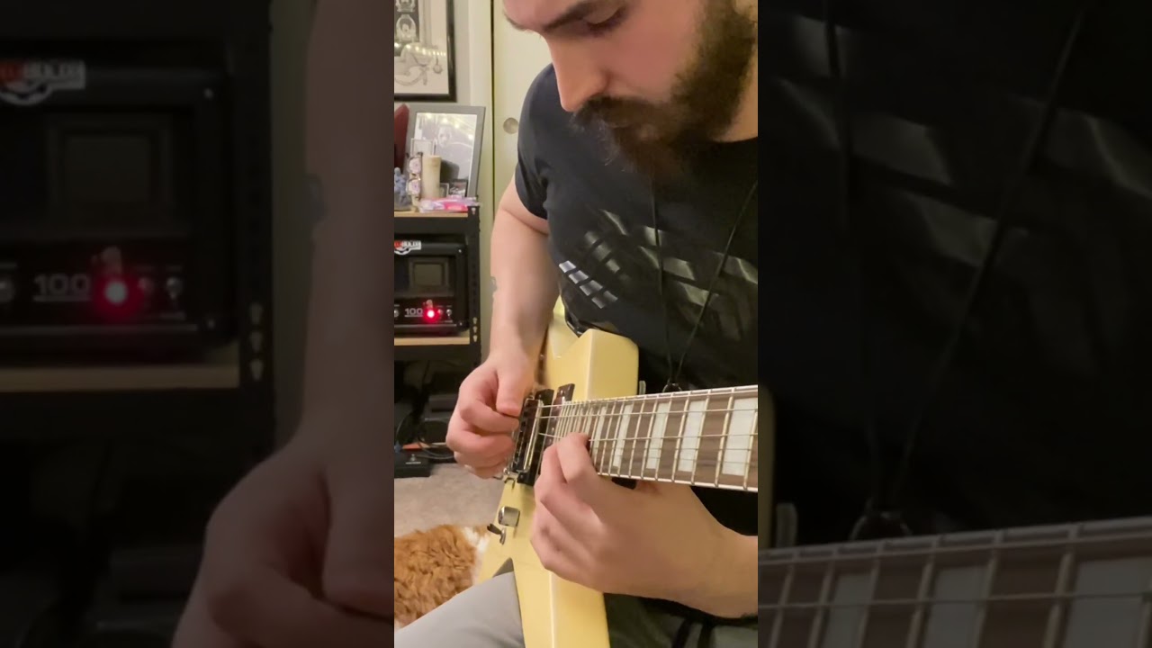 WILDNESS “Burning It Down” guitar solo