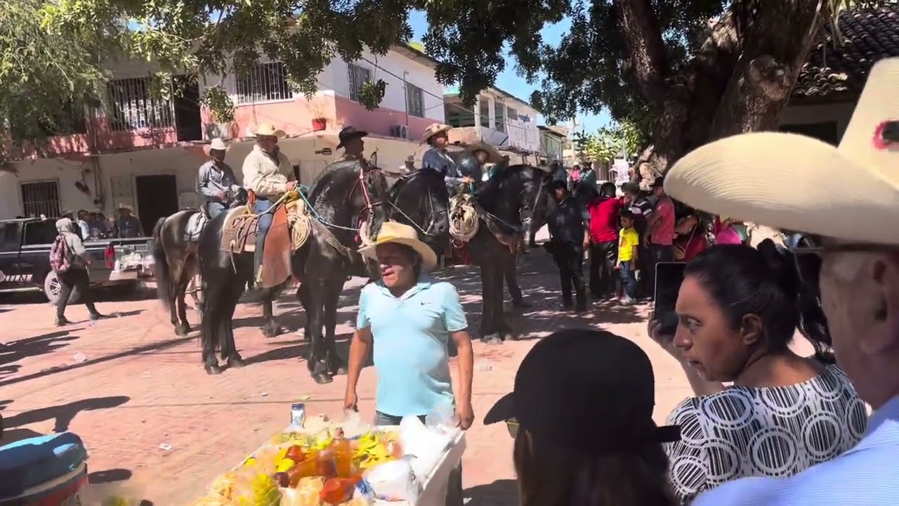 Desfile de tlalchapa guerrero mx