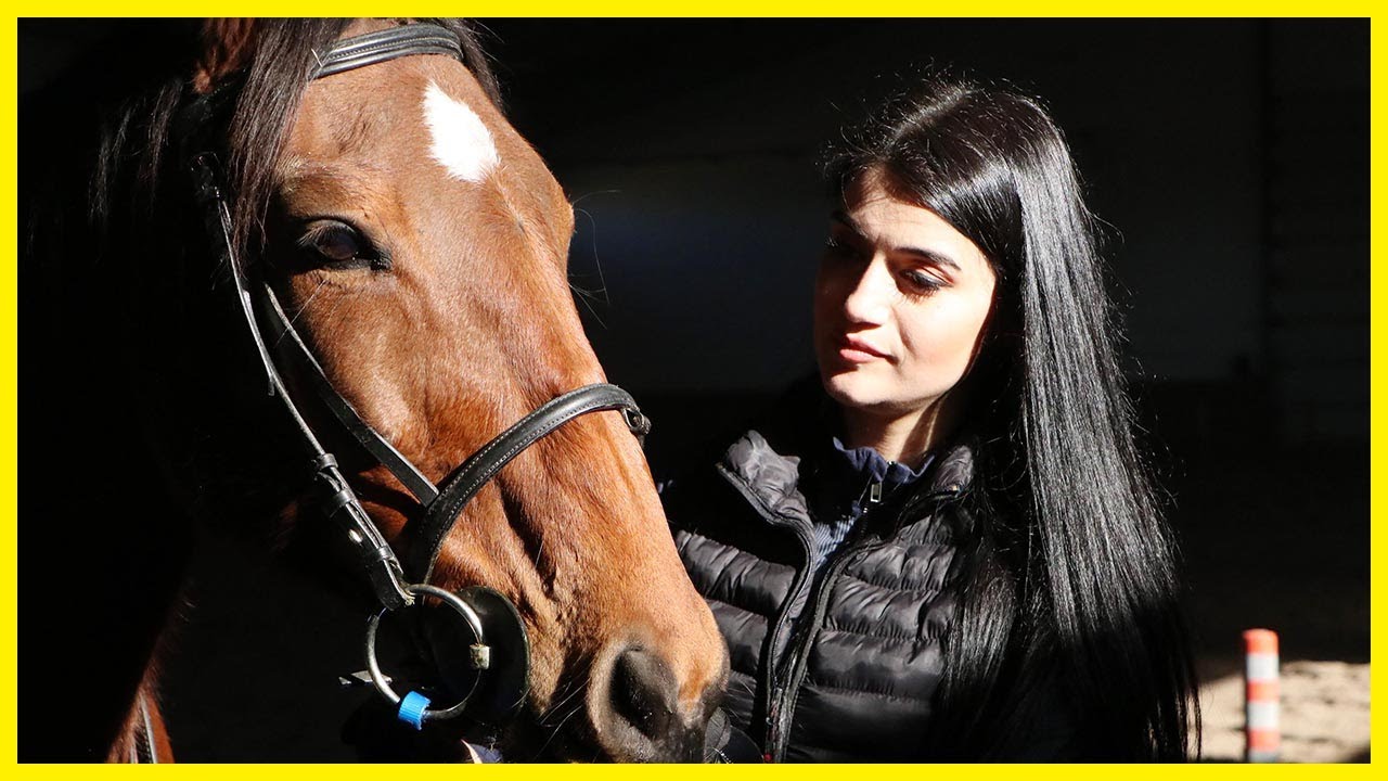 Attan Düşünce Kendisine Gülenlere İnat Edip At Antrenörü Oldu