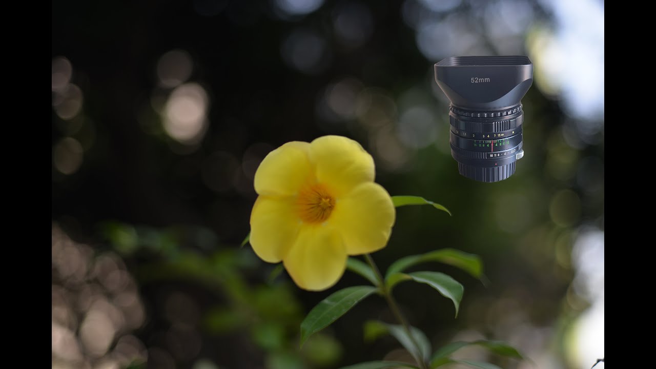 Zenitar 50mm  f1.7 - Lens Review [no swirly bokeh]