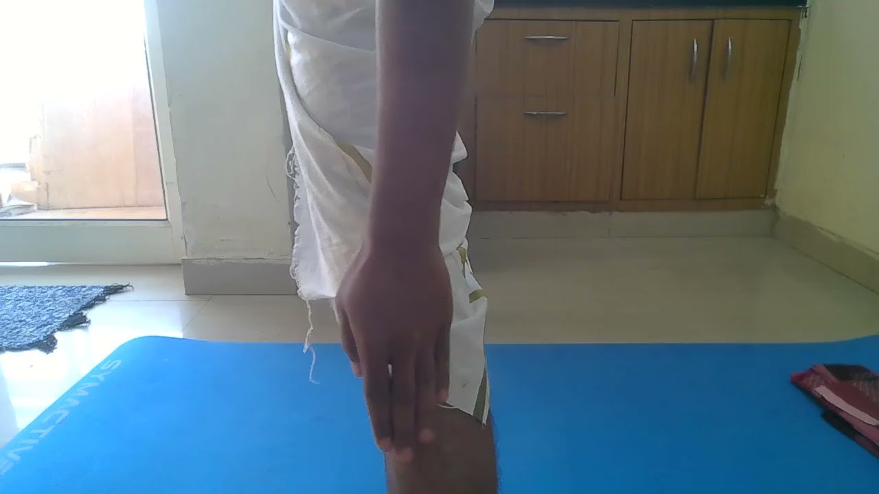 hath yog