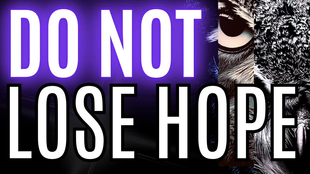 Do Not Lose Hope: Global Crypto Adoption Is Bigger Than the Noise