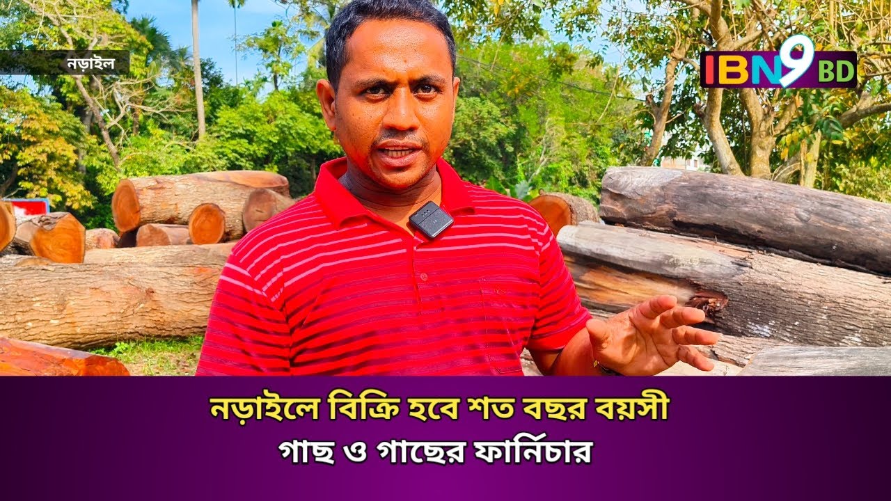 নড়াইলে বিক্রি হবে শত বছর বয়সী গাছ ও গাছের ফার্নিচার।