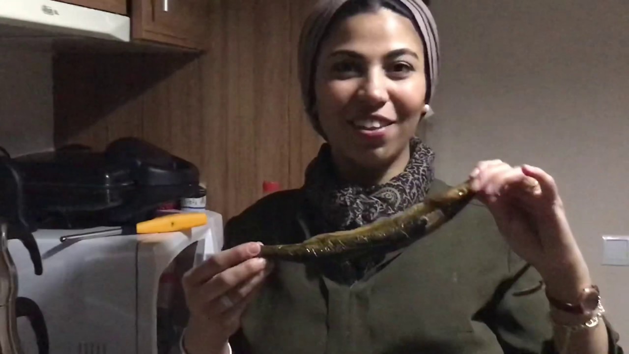 تعالوا شوفوا الضحك  كنت هحرق بيت صحبتى وكل ده عشان اعرف راى الاتراك فى الرنجة