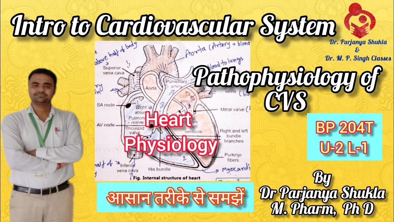 Introduction to Cardiovascular System | Heart Physiology | Pathophysiology of CVS | BP 204T| U-2 L-1