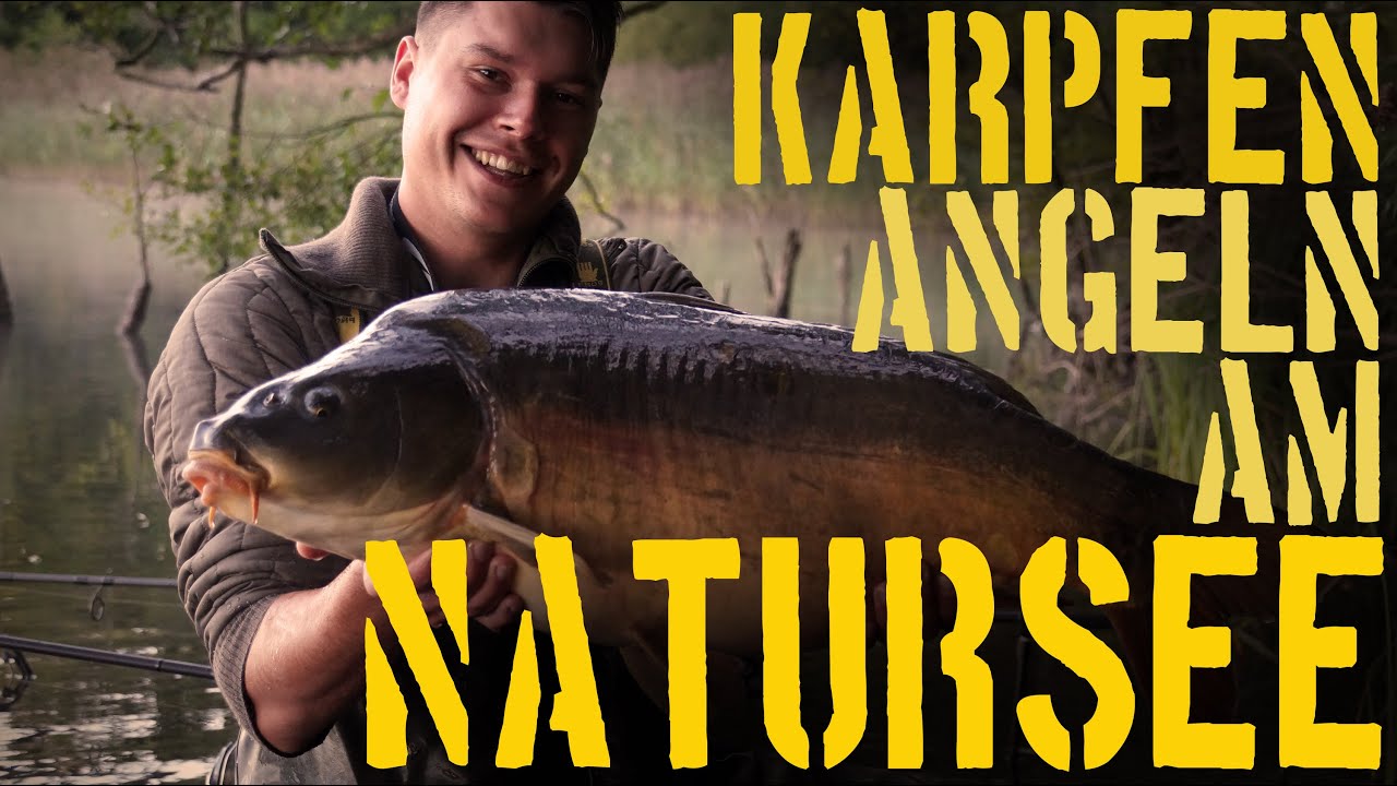 Karpfenangeln am gro&szlig;en Natursee - Taktiken, Montagen & hei&szlig;e Drills
