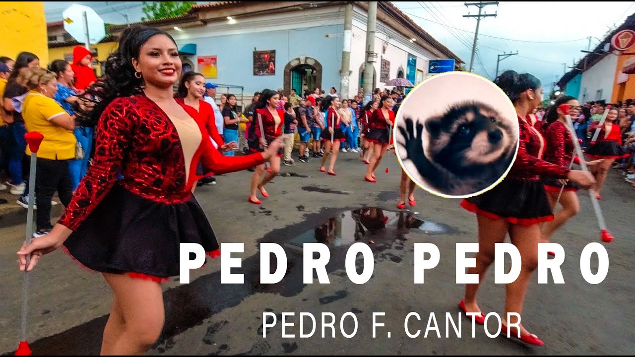 Pedro-Pedro-Pedro!  | Pedro F. Cantor 2024