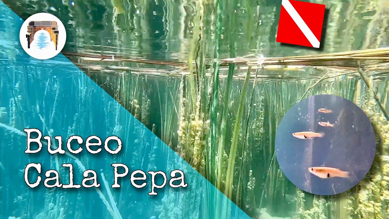 BUCEO en CaLa PePa 🤿 Lagunas de Ruidera