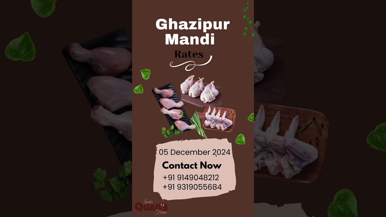 Today Price.... #indiaquailfarm