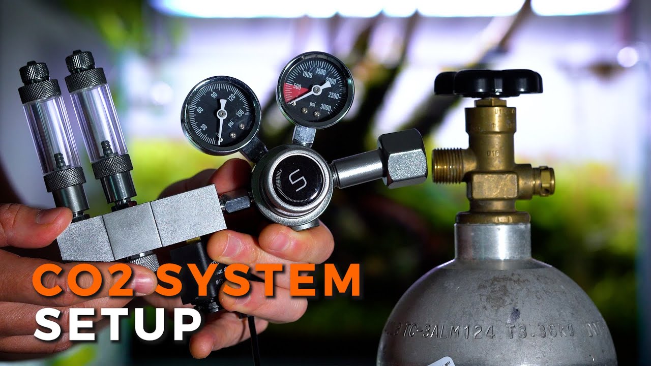 HOW TO SET UP A PRESSURIZED CO2 KIT | Step by Step
