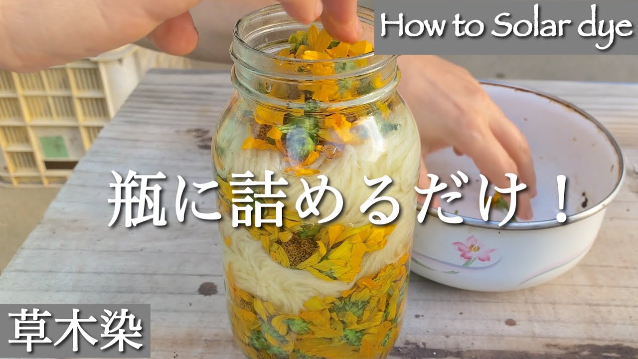 【SOLAR DYEING】THE EASIEST NATURAL DYE METHOD｜一番簡単な草木染めやり方｜瓶に詰めるだけ！