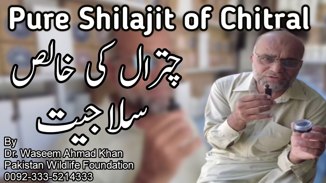 Pure Shilajit of Chitral | Chitral Aftabi Shilajit | Chitral Ki Khalis Salajeet | Aftabi Shilajit
