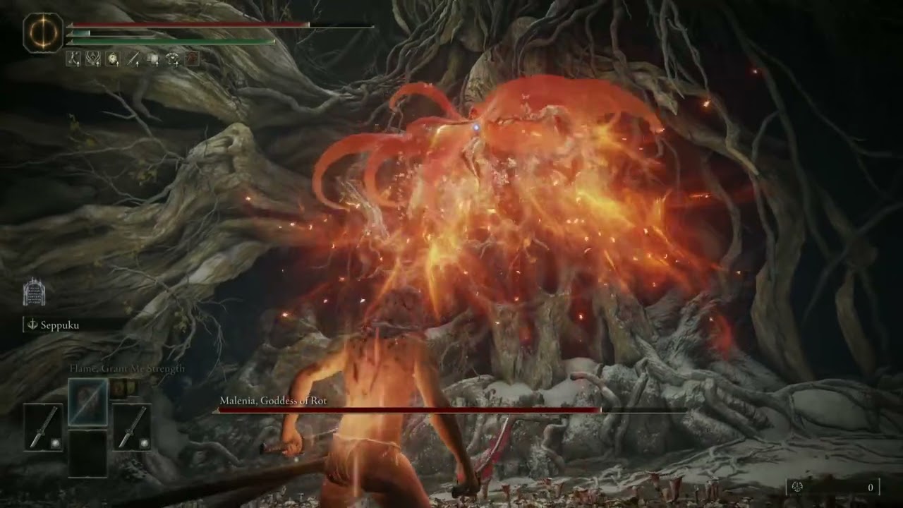 malenia ng+4 no hit
