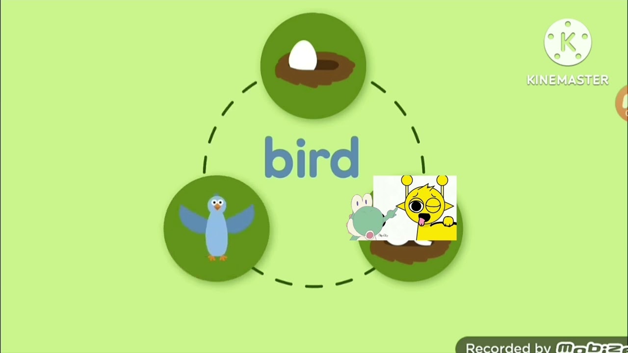 Scratch Garden Bloopers 5