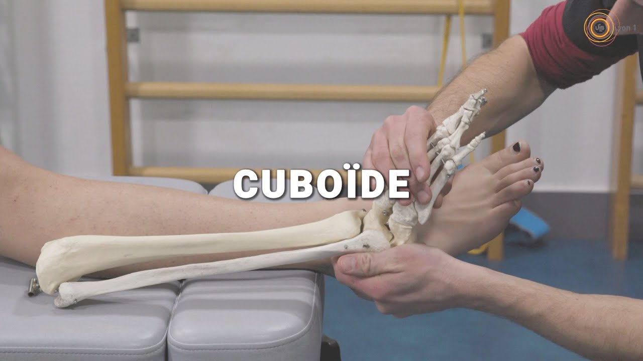 Cubo&iuml;de - Vid&eacute;o 09.1