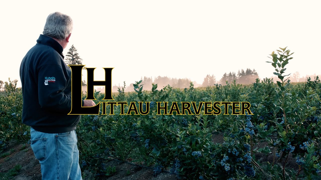 Littau Harvester - The Story