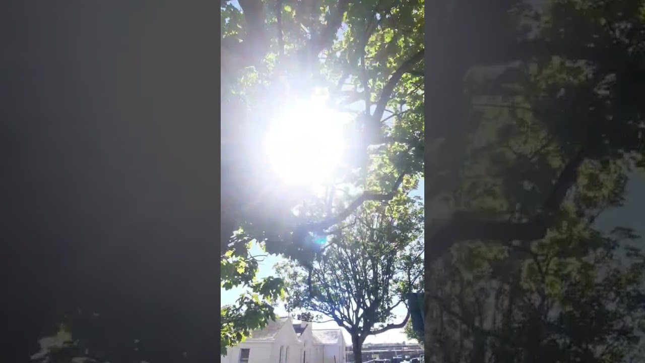 Who doesnt like such sunny day especially after a few overcast days!