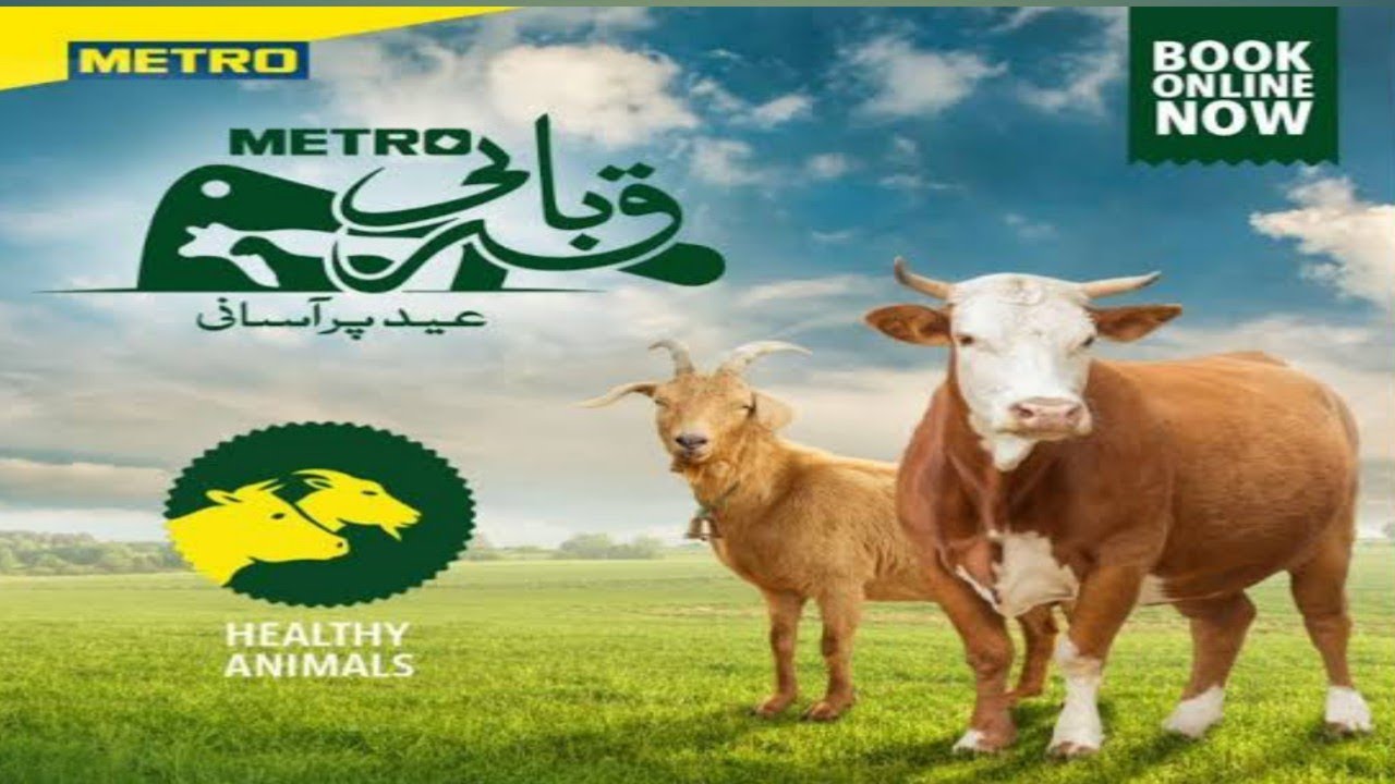 Metro Qurbani || Qurbani With Metro || Qurbani me Hissa || Metro Qurbani rates