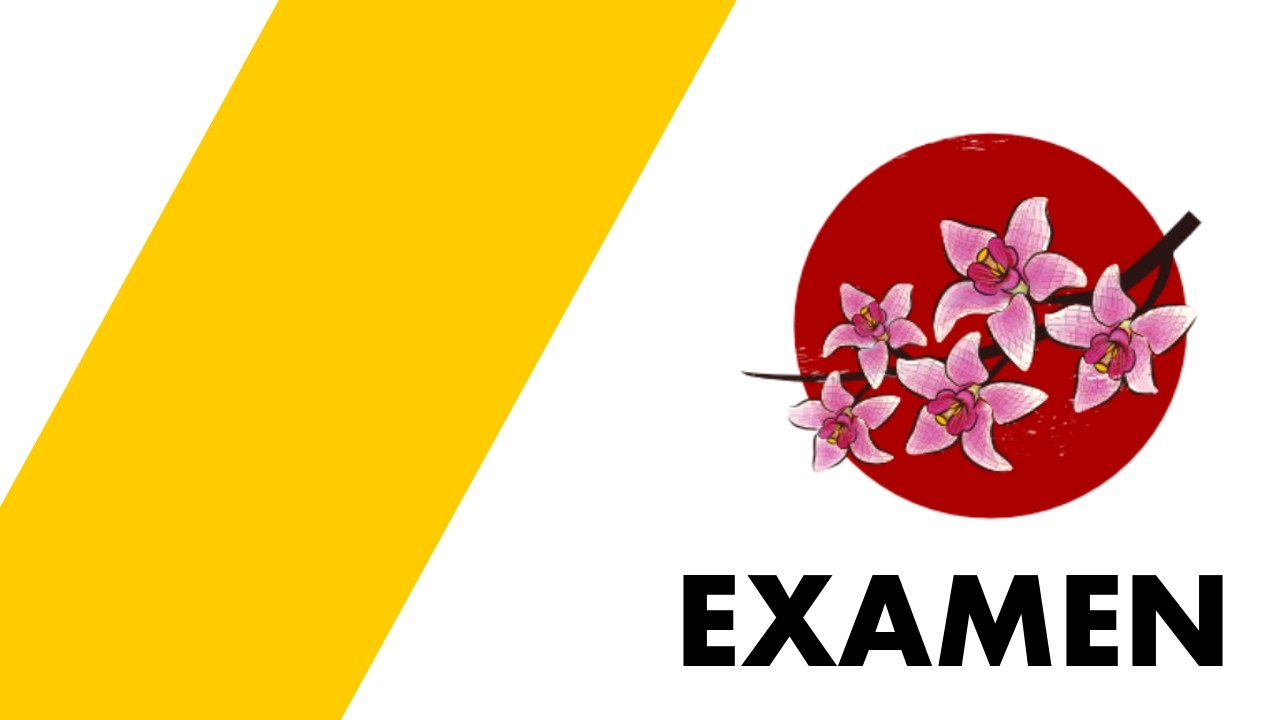 EXAMEN AMARILLO
