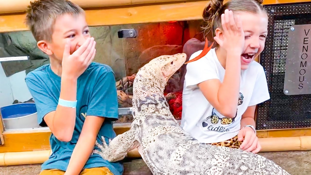Convincing My Family to BUY an Asian Water Monitor!