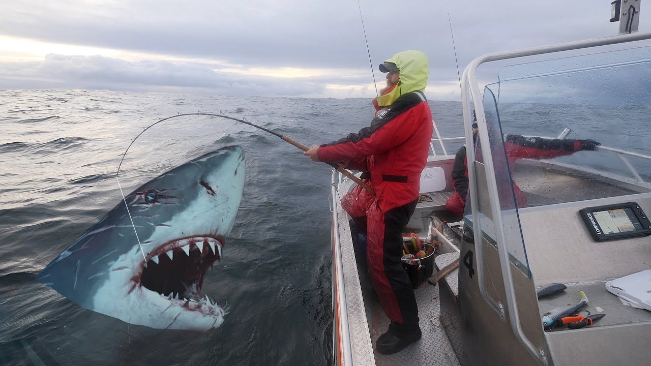 Fångar Stora MONSTER - Havsfiske i Norge