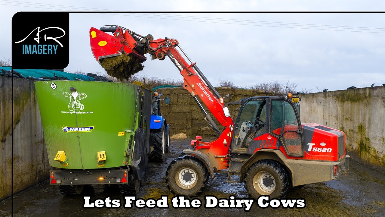 Diet Feeding Dairy Cows | Faresin PF2.18, T6.180 & Schäffer T8620