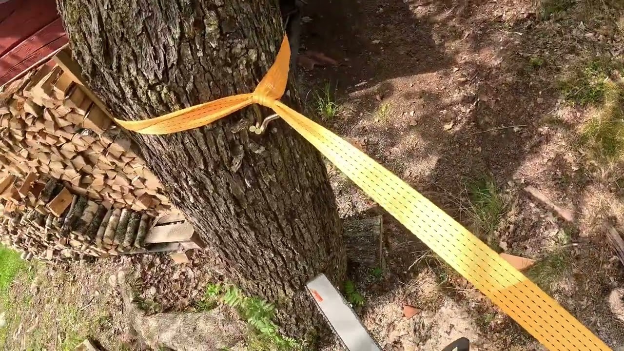 F&auml;lla en l&ouml;nn n&auml;ra en gammal byggnad med hj&auml;lp av st&ouml;dlina.