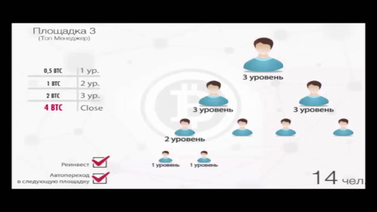REDEX маркетинг за 5 минут РЕДЕКС