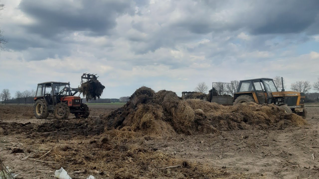 Obornik pod kukurydze 2021! Ursus 912/Czarna Białostocka/Zetor 6748 w akcji!