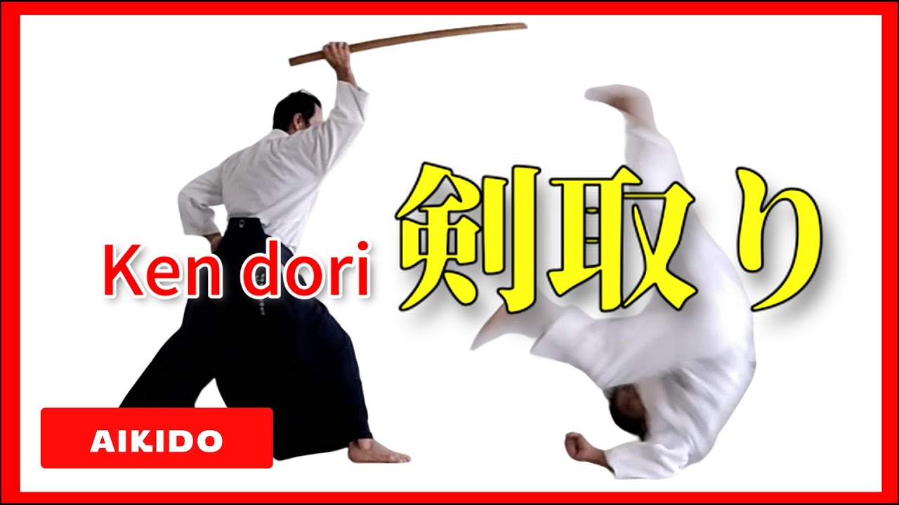 【観て学ぶ合気道】剣取り KENDORI ｜沖縄で始める合気道#aikido #martialarts #syllabus