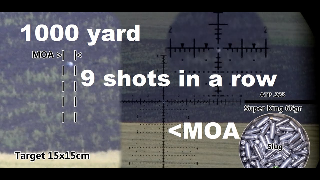 1000 Yard - 9 Shots under MOA - ( horizontally )
