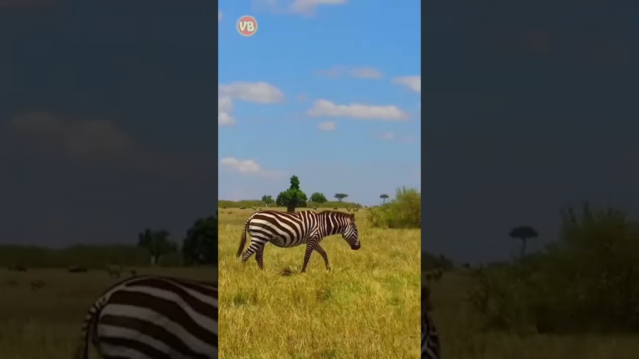 viral animal sounds #viralsounds #shorts_video_viral