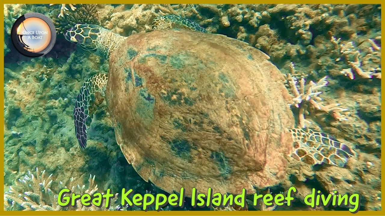Great Keppel Island Monkey Beach