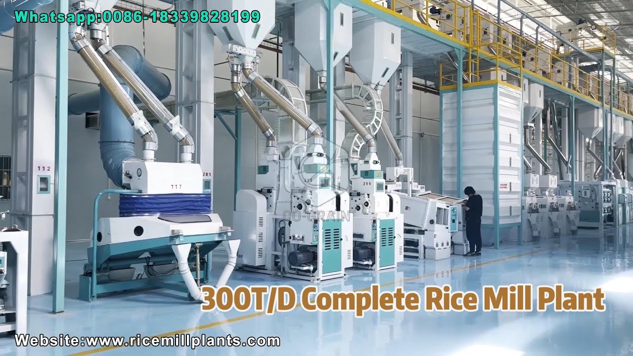 300T/D Modern Complete Rice Processing Mills | Rice Mill Machinery Supplier - Co-Grain Rice Mill