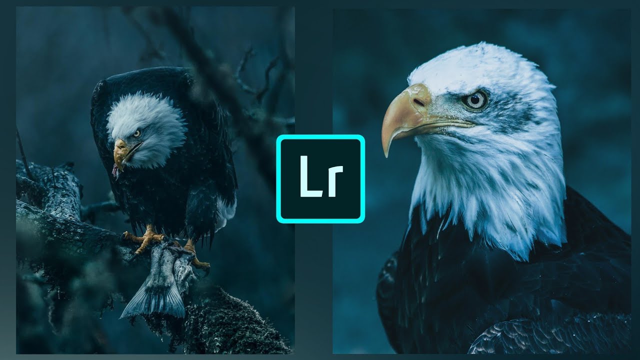 How to Edit Like Fursty in Lightroom Mobile|Malayalam Tutorial