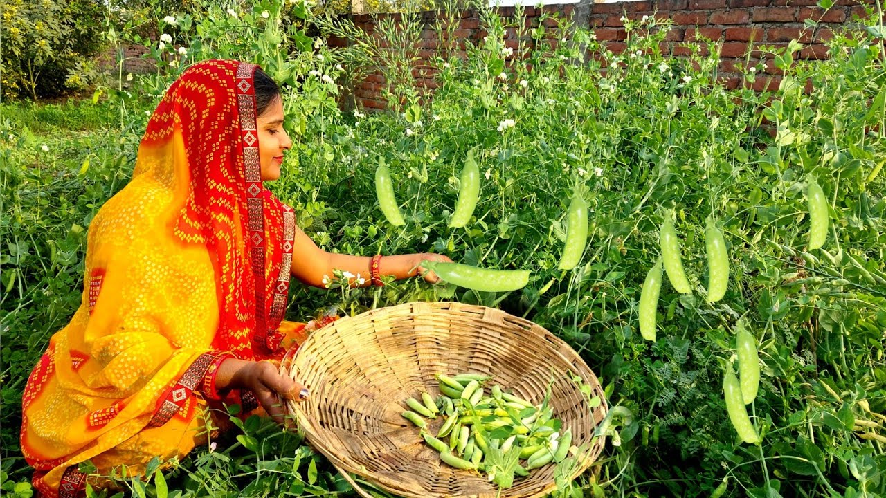 हरे मटर को पीस कर बनने वाली ऐसी 😋टेस्टी रेसिपी जो पूरे यू.पी. में लोग मांग मांग कर खाते हैं