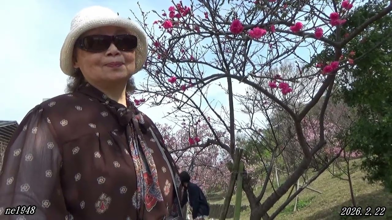 2026.2.22（大年初六）              竹塹小城  麗池公園