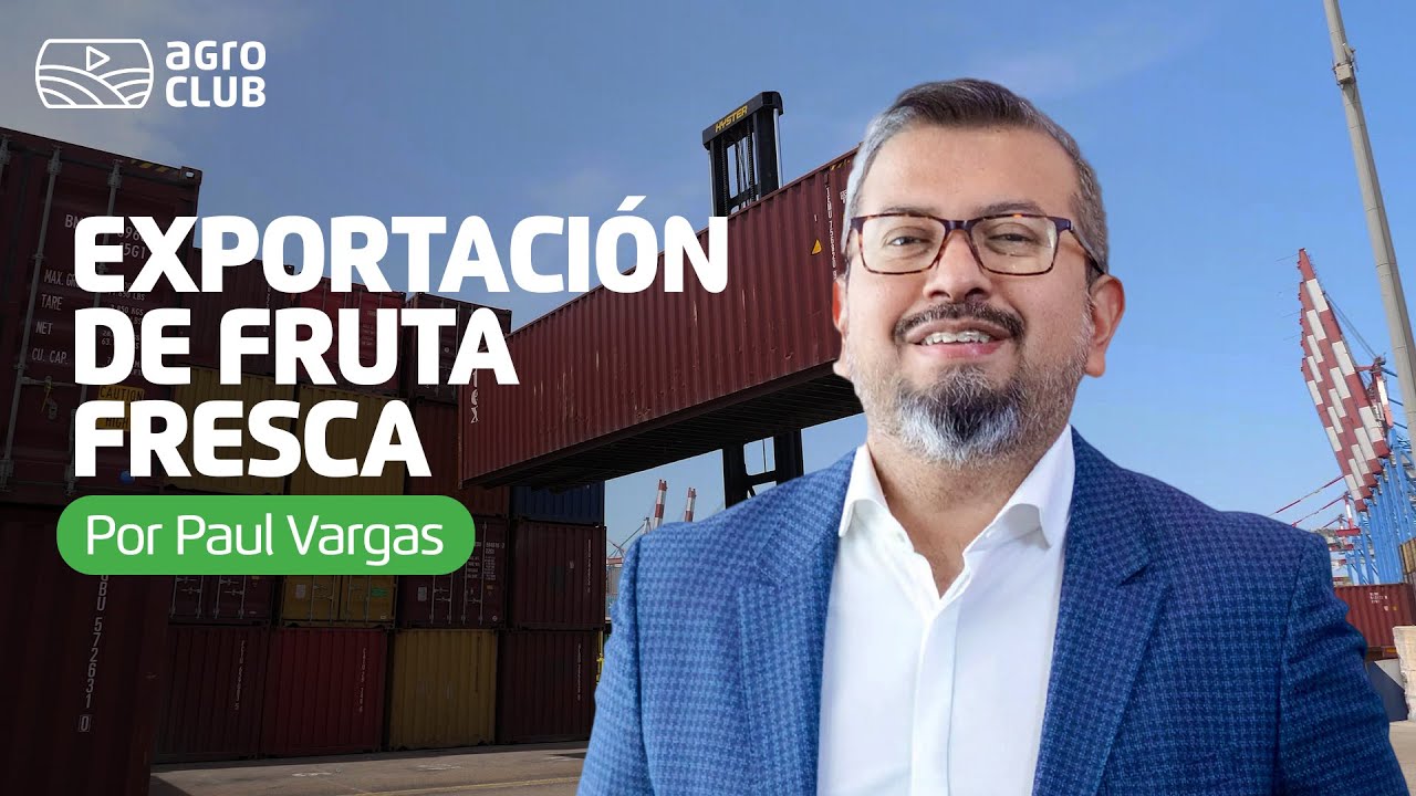 EXPORTACIÓN DE FRUTA DESDE PERÚ