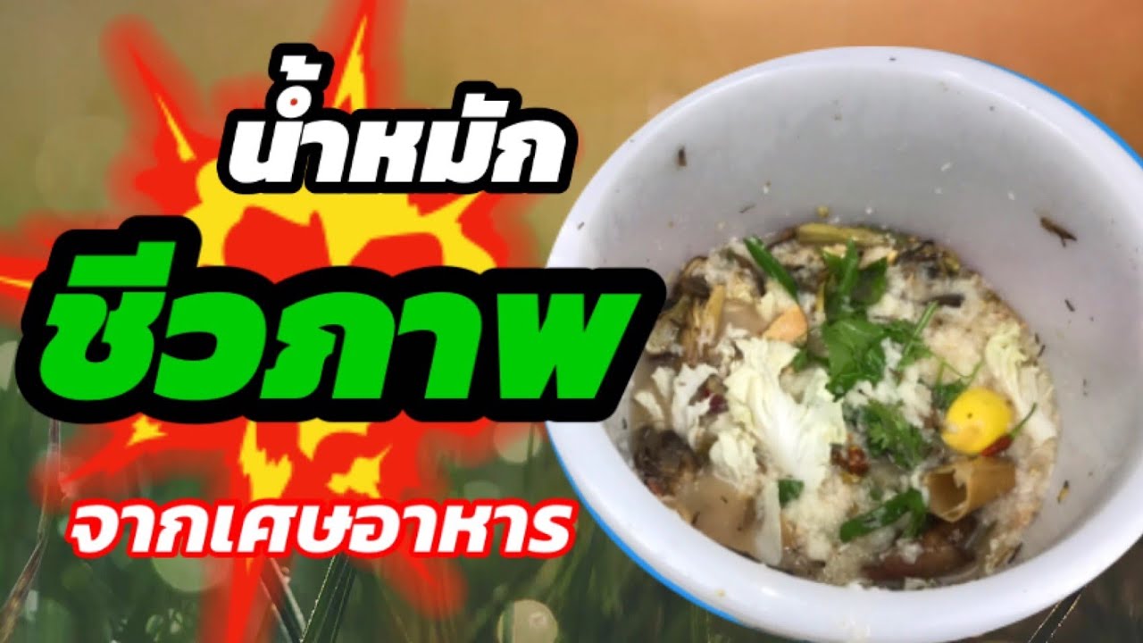190/ ปุ๋ยหมักชีวภาพจากเศษอาหารทำได้ง่ายมากๆ ช่วยให้ดินดี ผักงาม โตเร็ว /Bio-compost from food wasts