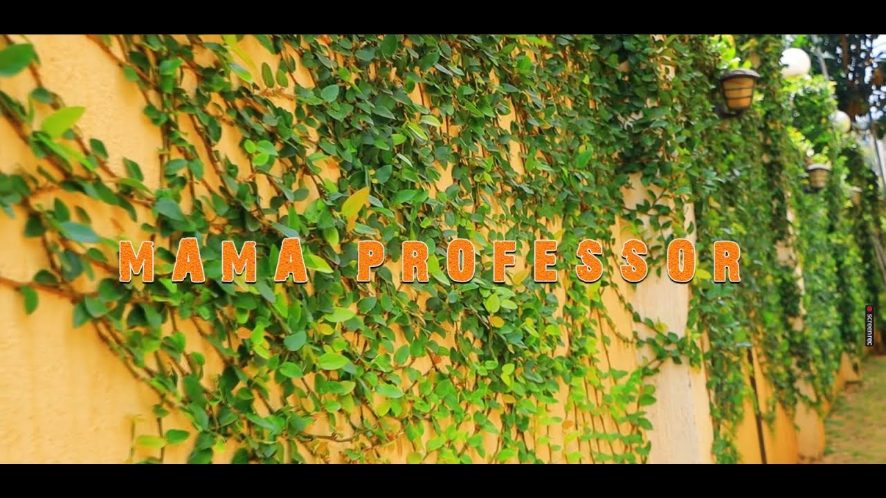 Mama Professor - Ababisa (Official Video)