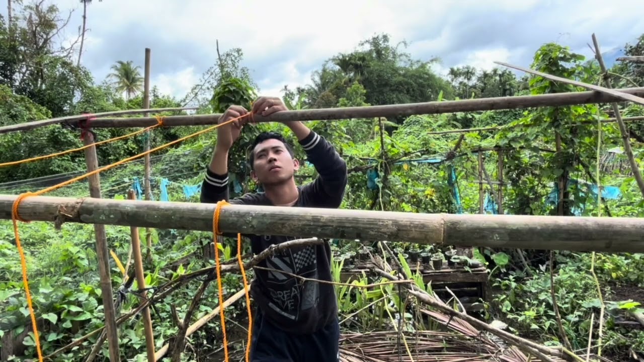 Pengalaman perdana menanam 