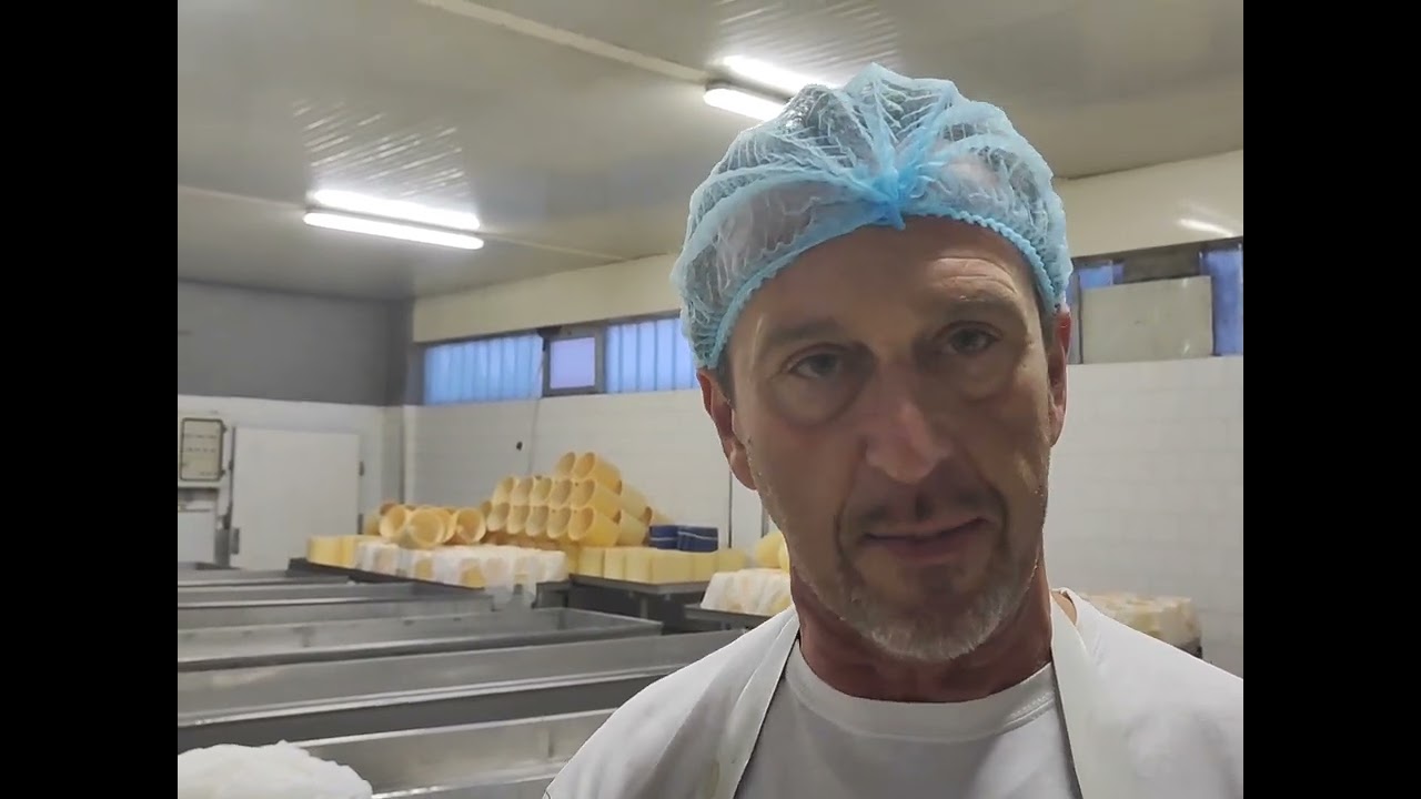 Vagadore Mauro l'artista del Gorgonzola dolce d.o.p. @ilmangiaweb come si fà, prima fase.