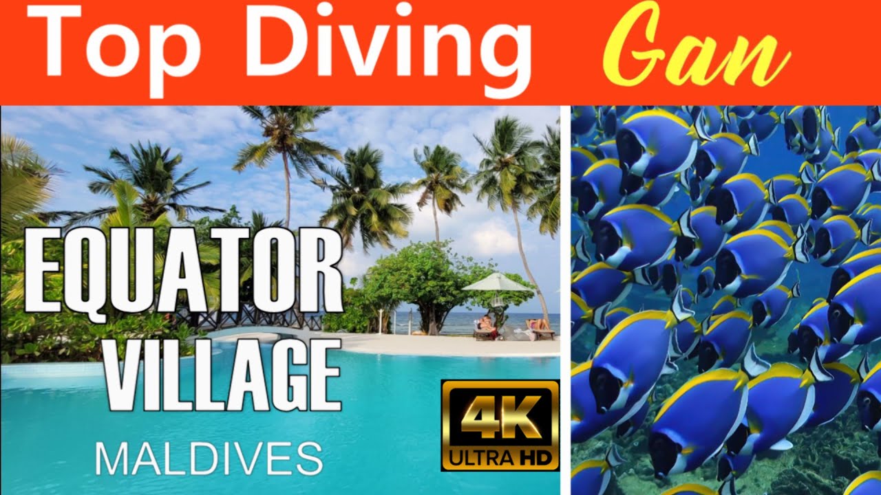 TOP DIVING - Malediven - Equator Village (Diverland Gan) - Addu Atoll