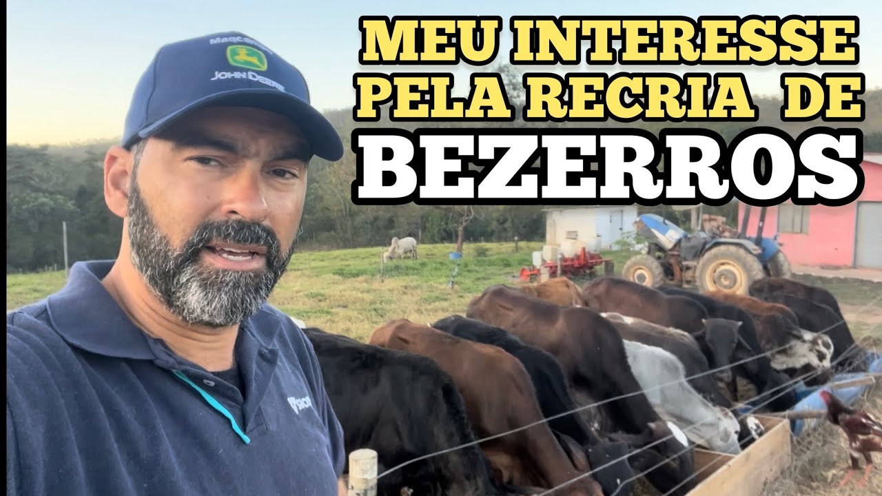 RECRIA DE BEZERROS TA NA HORA