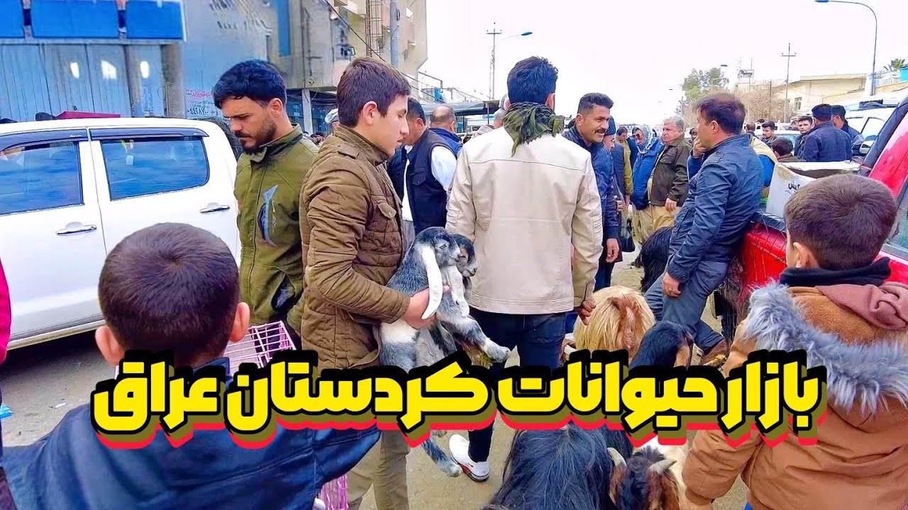 Что бы вы ни говорили, я это видел на этом рынке! Я не видел ничего подобного даже в Индии!