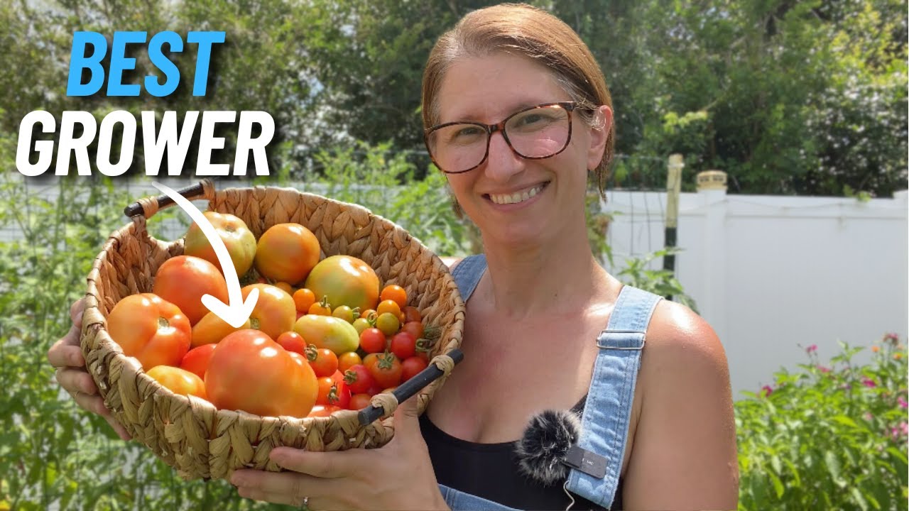 I Grew 20 Different Tomato Varieties: Here's My Favorite Tomato