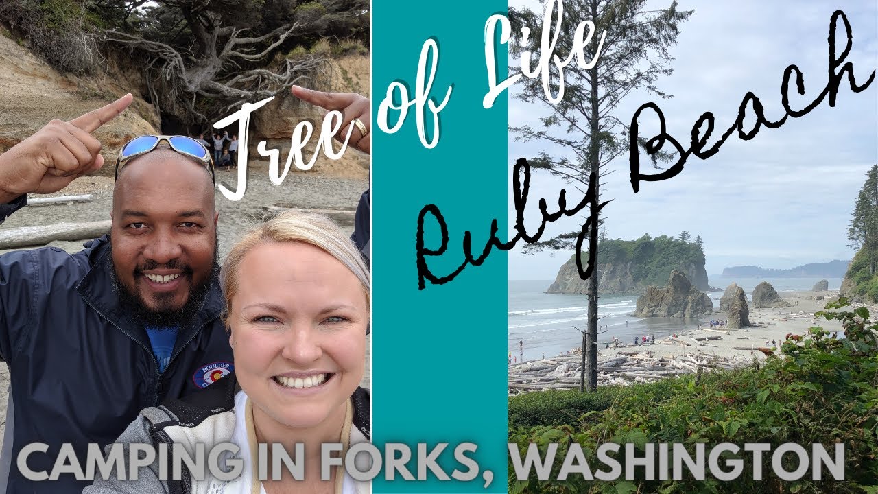 Forks, WA - Mora Campground - RV Life
