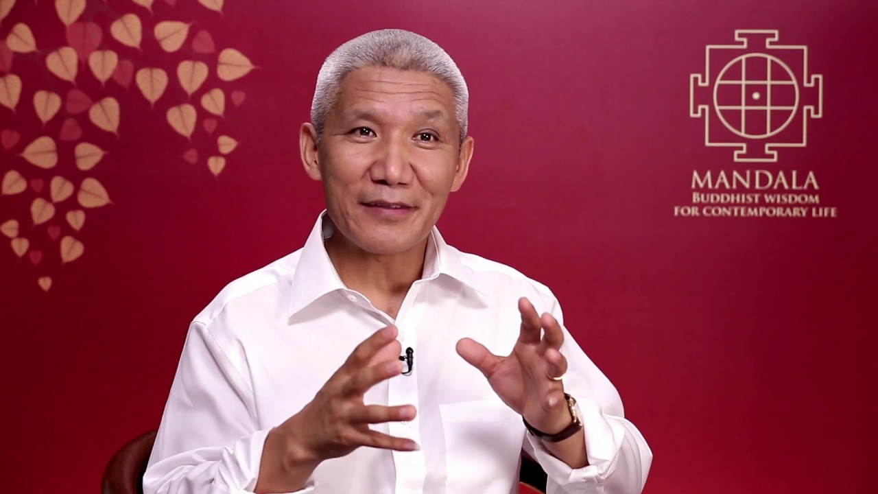 Dealing With Adversity and Suffering - Dr. Thupten Jinpa on The Mandala App
