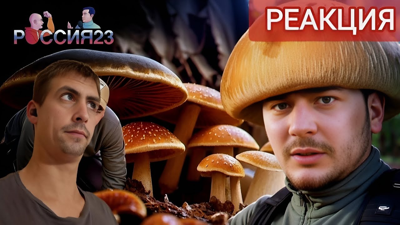 Грибы./ РЕАКЦИЯ на Россия23