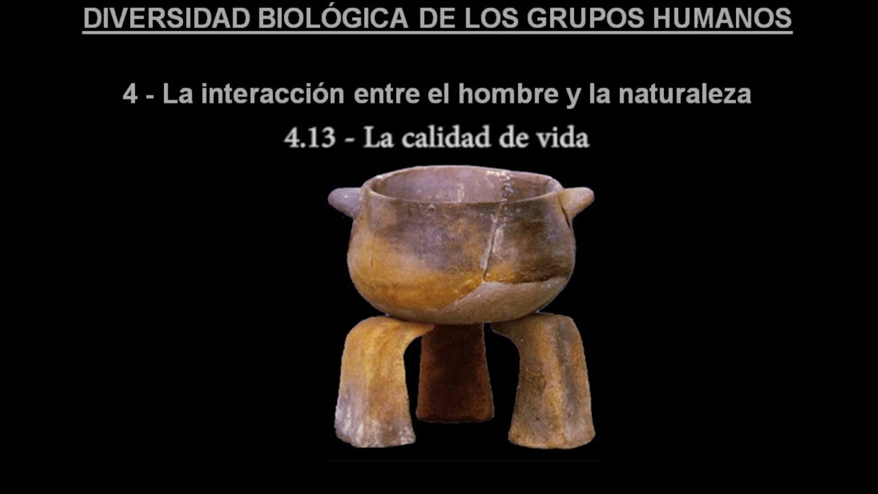 DBGH Tema 4.13 - La calidad de vida (Versi&oacute;n Ampliada)
